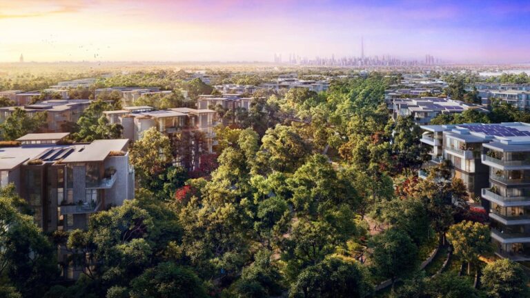 Ghaf Woods aerial view at sunset with Dubai skyline