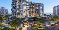 New Project by Yard
