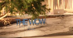 The WOW Tower by Mr. Eight Development